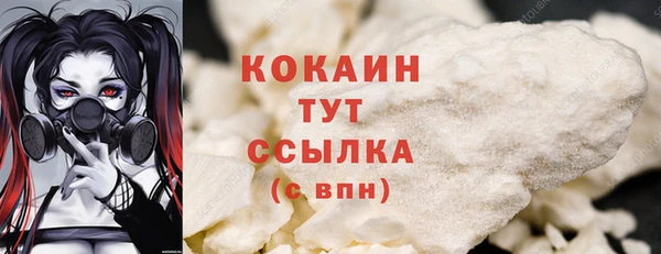дмт Ладушкин
