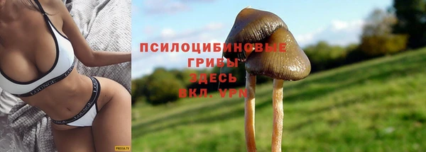 мдпв Вяземский