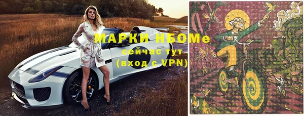мдпв Вяземский