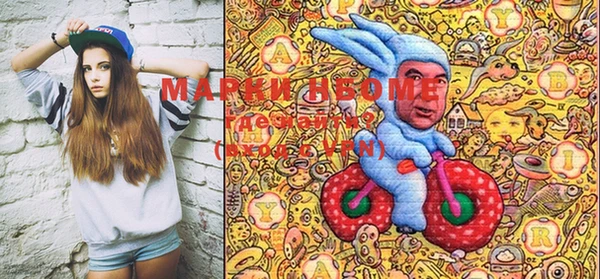 мдпв Вяземский