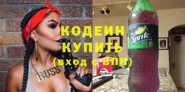 мдпв Вяземский