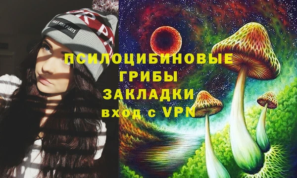стафф Волоколамск