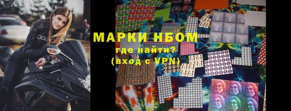 мдпв Вяземский