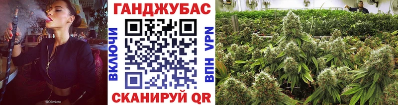 Бошки марихуана Amnesia  Пласт 